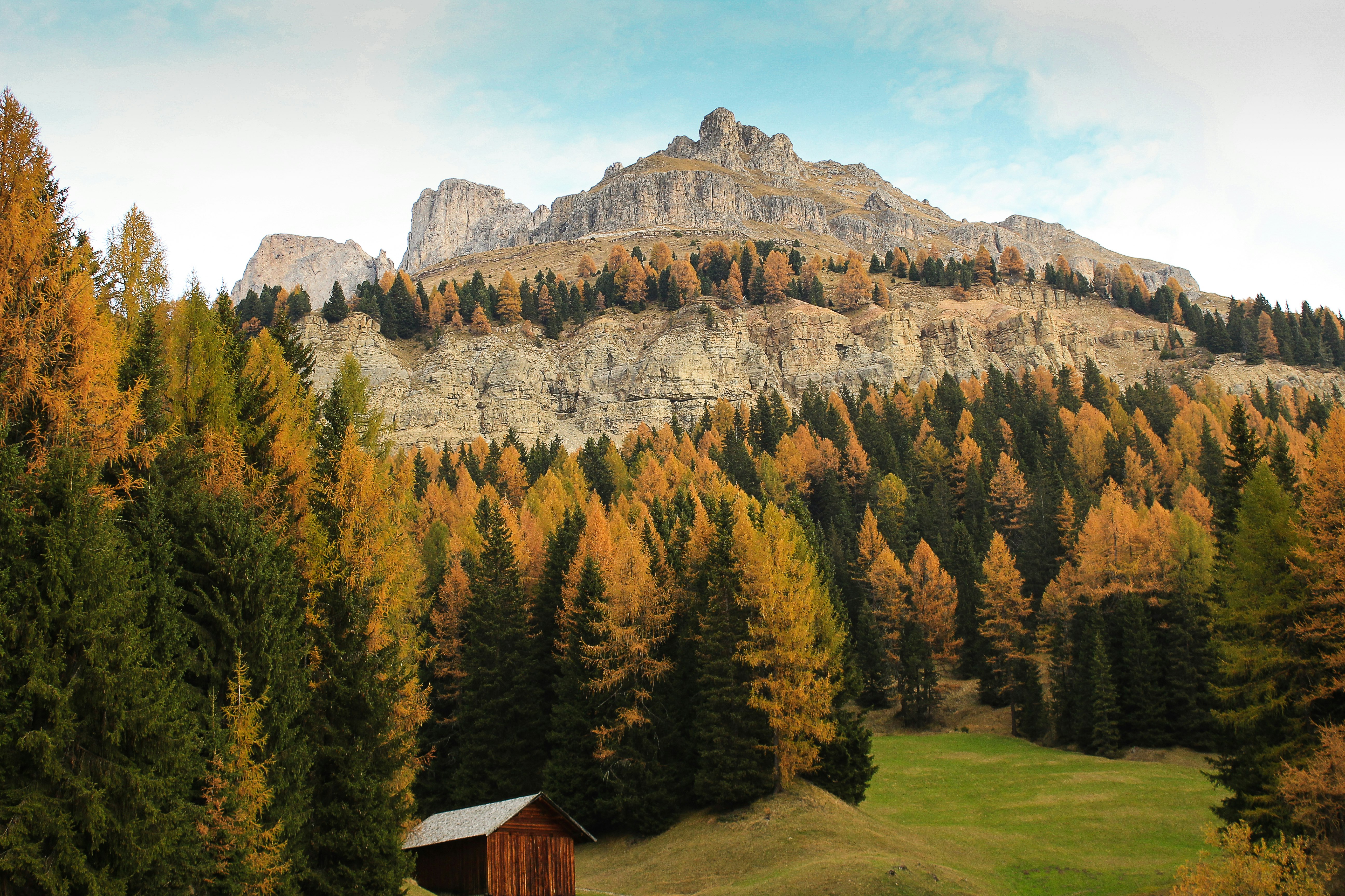 photo of brown mountain with trees near vicinity